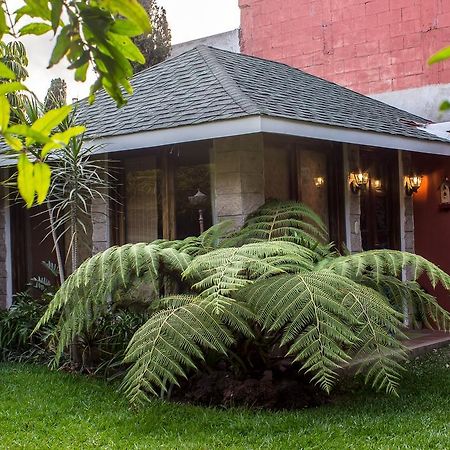 Mi Casa, Tu Casa Apartment Guatemala City Luaran gambar