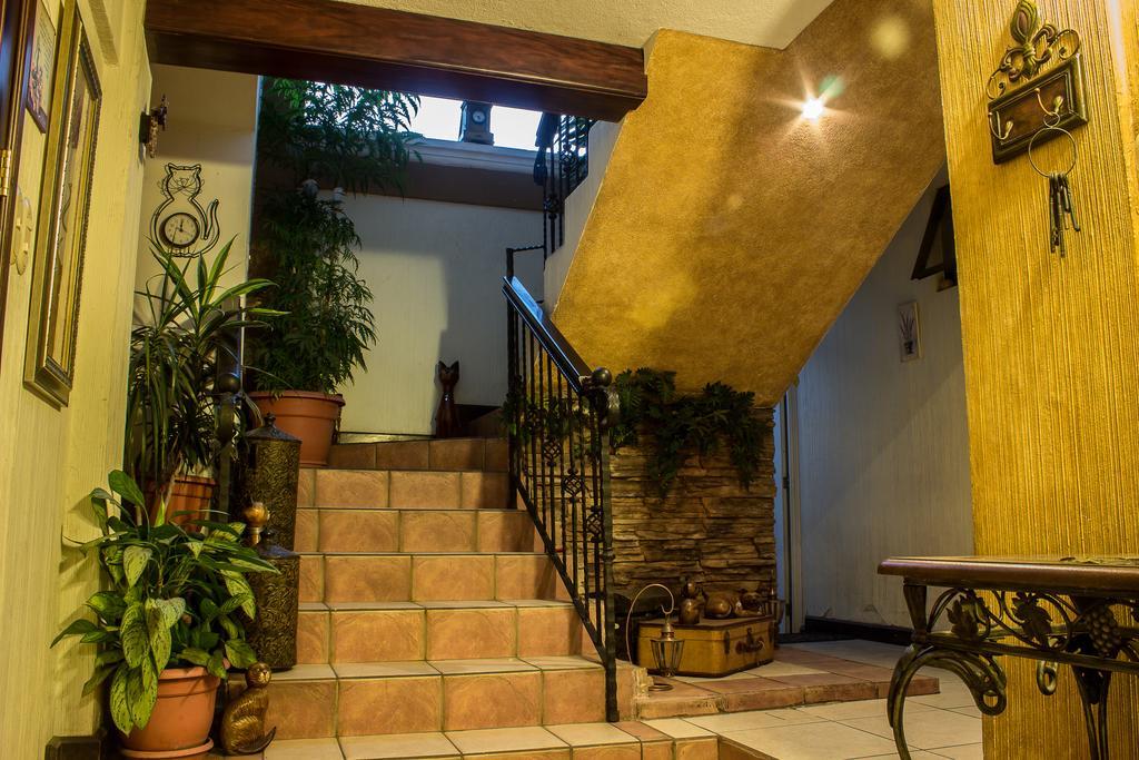 Mi Casa, Tu Casa Apartment Guatemala City Luaran gambar