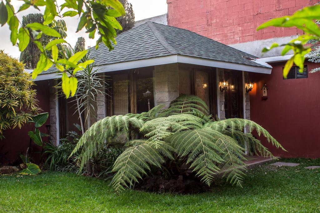 Mi Casa, Tu Casa Apartment Guatemala City Luaran gambar