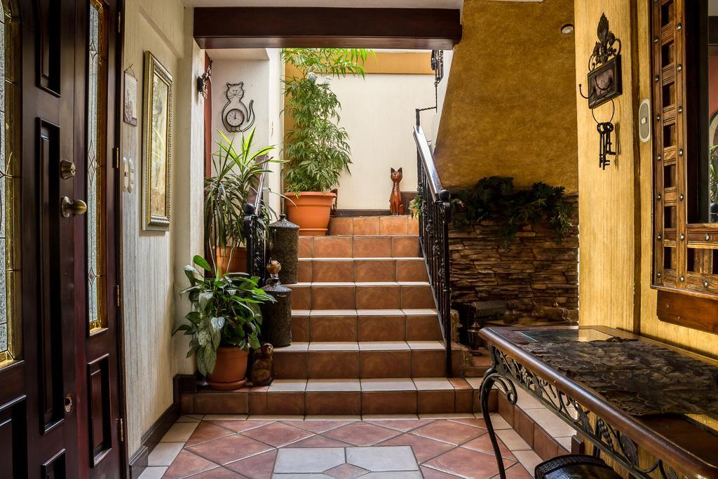 Mi Casa, Tu Casa Apartment Guatemala City Luaran gambar