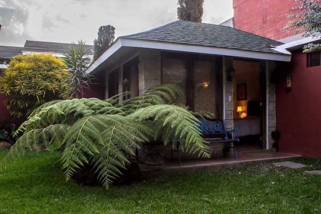 Mi Casa, Tu Casa Apartment Guatemala City Luaran gambar